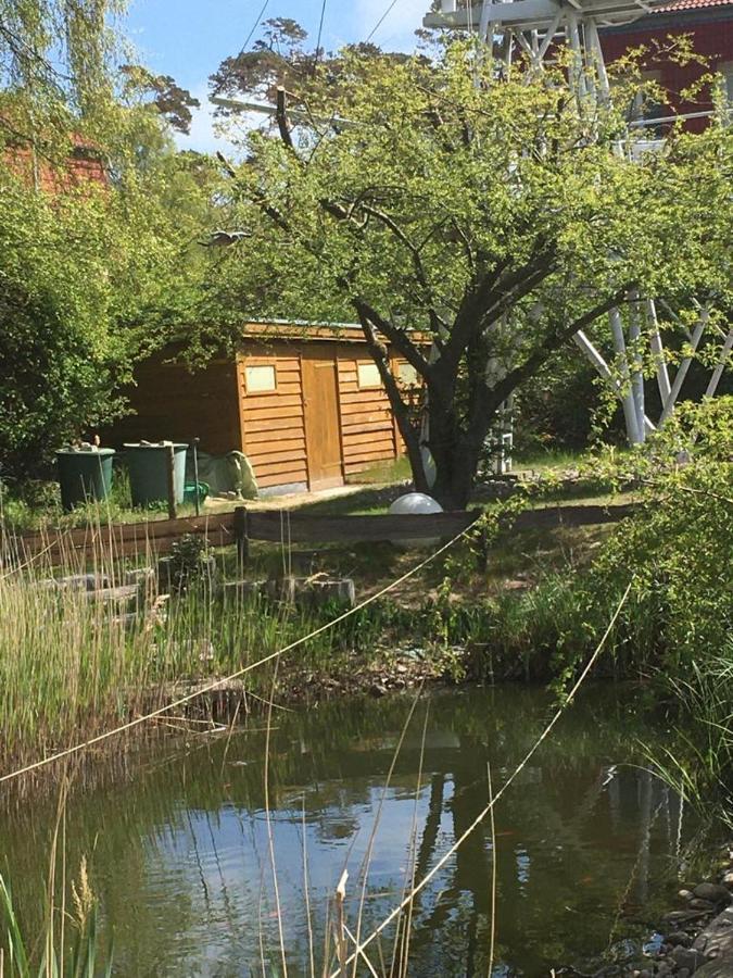 Fewo Schwalbennest Am Meer-Exklusiv-Eigener Strandzugang Ostseebad Kühlungsborn Eksteriør billede