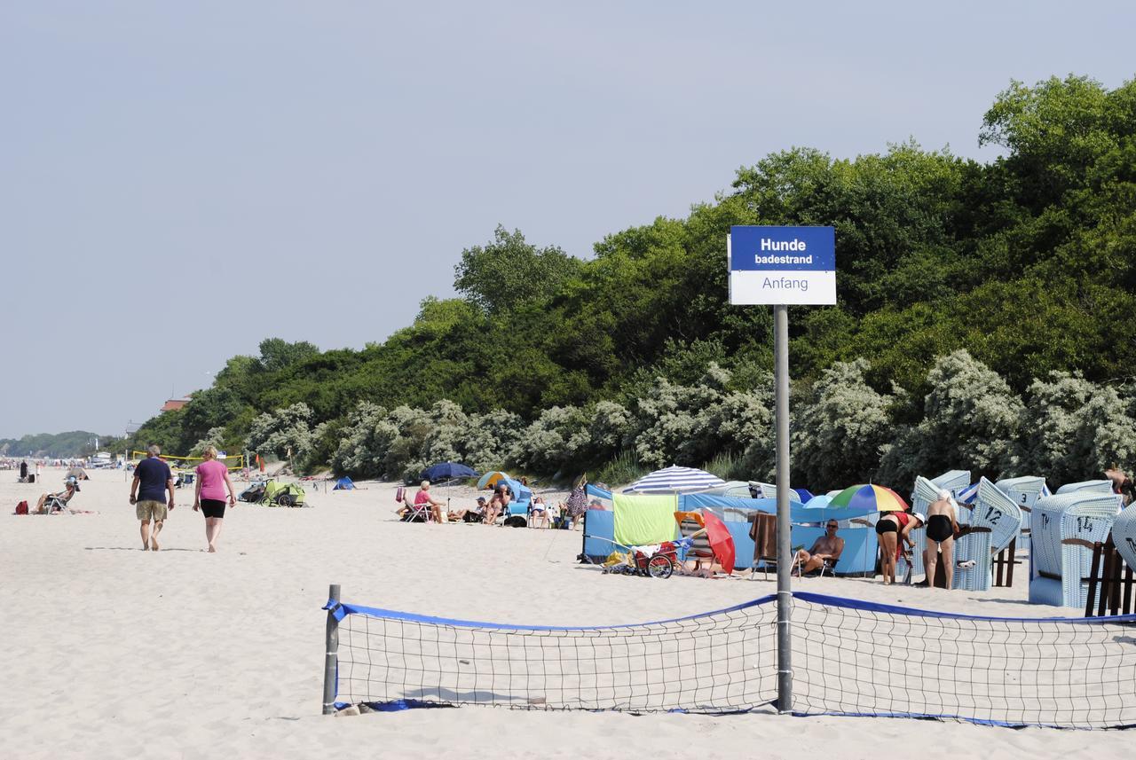 Fewo Schwalbennest Am Meer-Exklusiv-Eigener Strandzugang Ostseebad Kühlungsborn Eksteriør billede